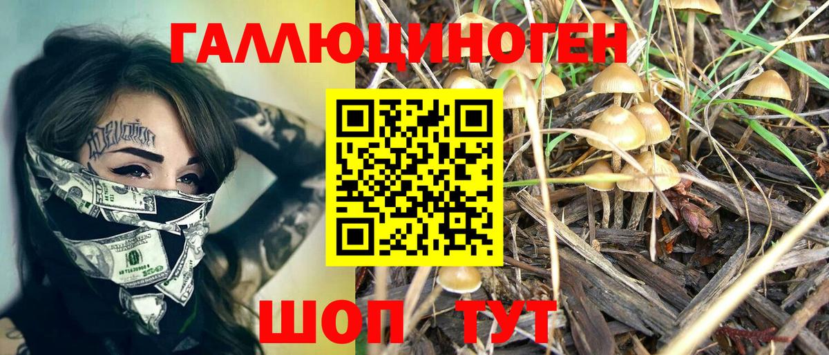 Псилоцибиновые грибы ЛСД  Галлюциногенные грибы Psilocybine cubensis  купить  сайты  Назарово  Вход с VPN 